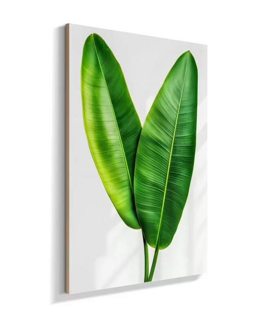 Quadro Bananeira Minimal - Sobriedade Verde & Modernismo