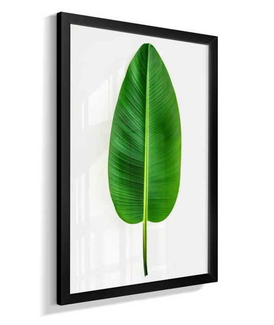 Quadro Bananeira Elegante - Folha Alongada & Sofisticada
