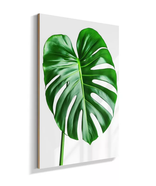 Quadro Costela de Adão 1 - Elegancia Natural & Refino