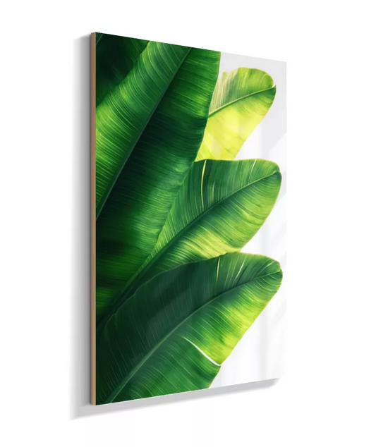 Quadro Bananeira - Folhas Verdes Majestosas & Elegância Tropical