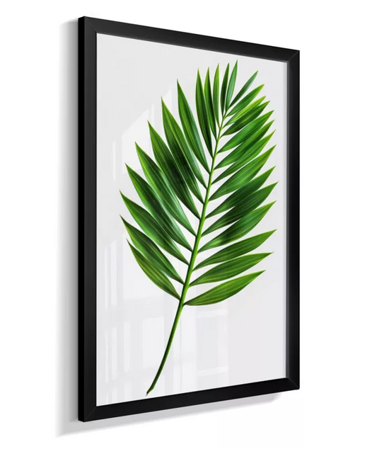 Quadro Palmeira Areca - Folhagem Elegante & Sofisticada