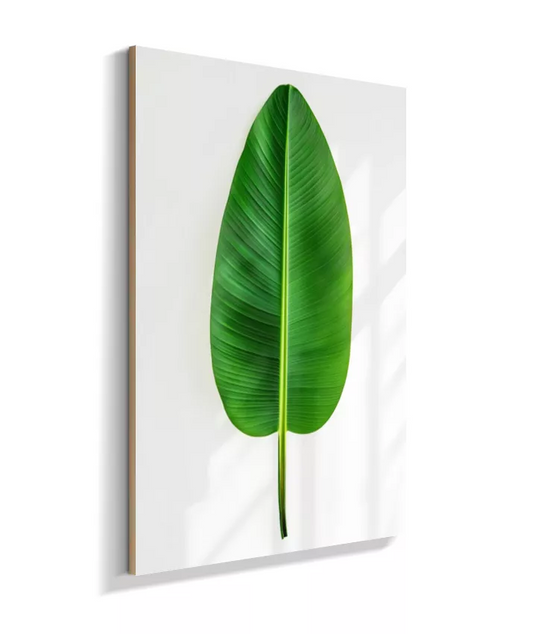 Quadro Bananeira Elegante - Folha Alongada & Sofisticada