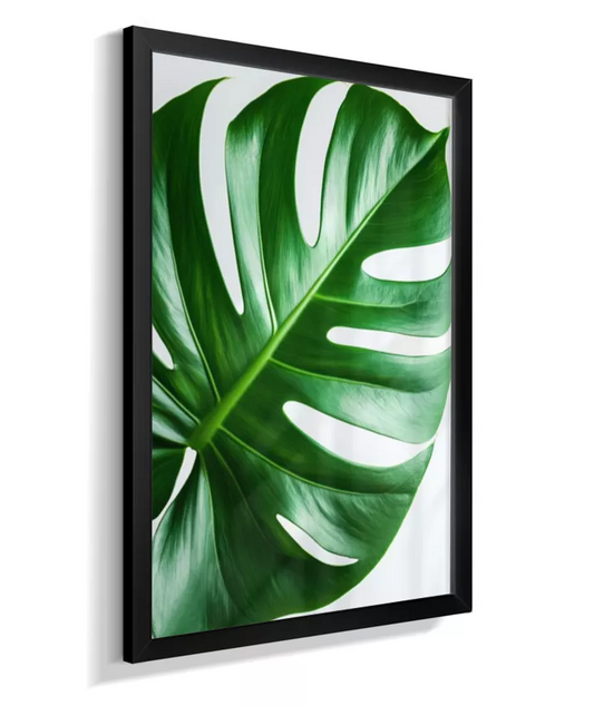 Quadro Costela de Adao 5 - Padrao Marcante & Tropical