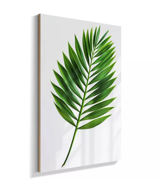 Quadro Palmeira Areca - Folhagem Elegante & Sofisticada