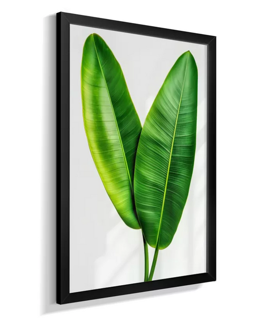 Quadro Bananeira Minimal - Sobriedade Verde & Modernismo