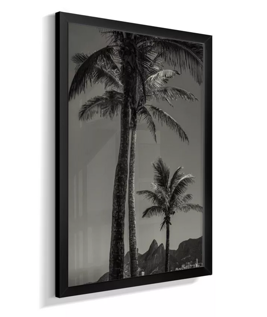 Arpoador para o Dois Irmãos