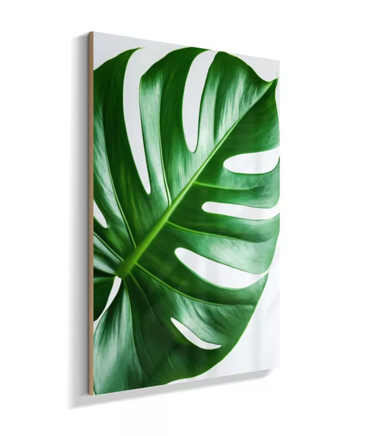 Quadro Costela de Adao 5 - Padrao Marcante & Tropical