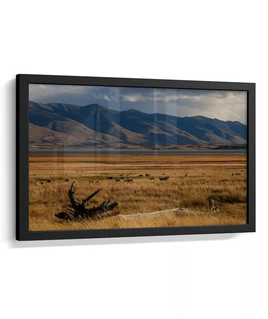 Silêncio Dourado – Patagônia