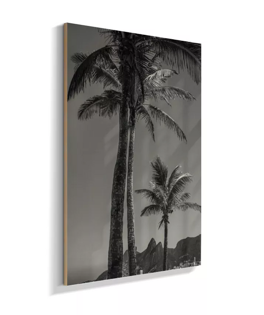 Arpoador para o Dois Irmãos