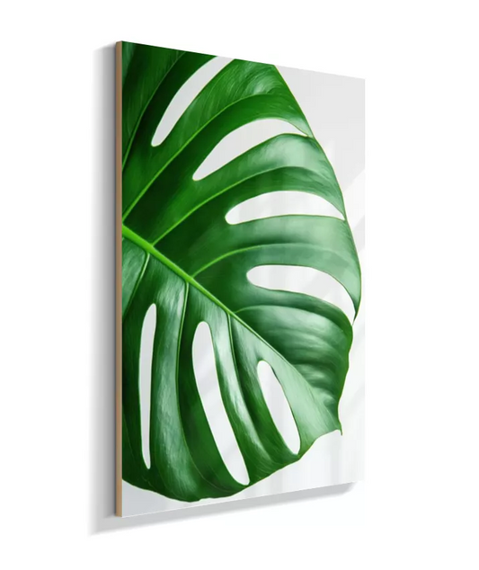 Quadro Costela de Adão - Folhas Decorativas & Elegantes