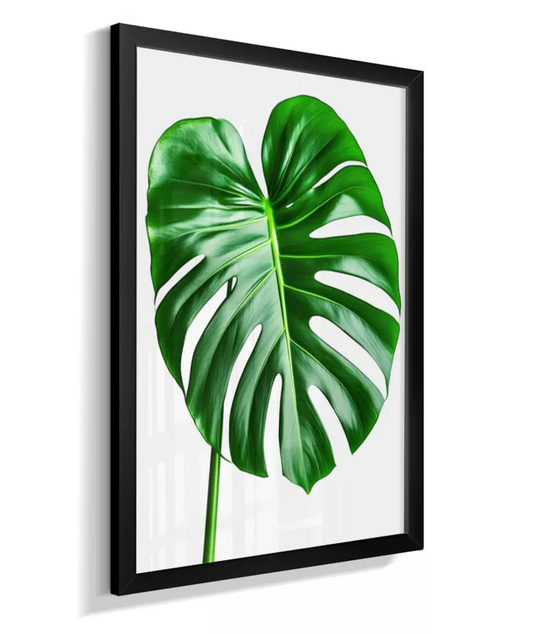 Quadro Costela de Adão 1 - Elegancia Natural & Refino