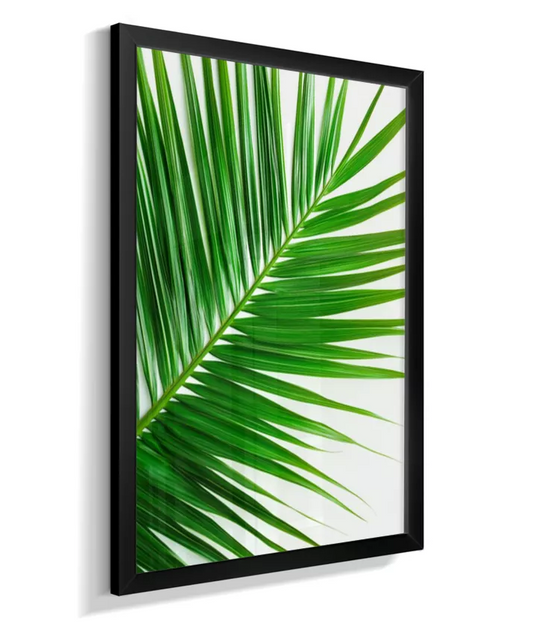 Quadro Palmeira Elegante - Folhas Finas & Sofisticadas