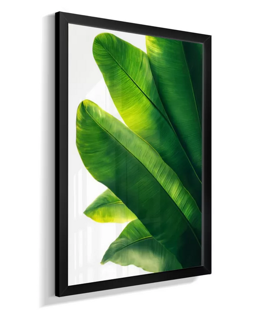 Quadro Bananeira Elegante Variada - Natureza Exuberante