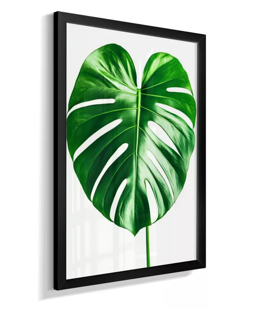 Quadro Monstera Variegada - Padrão Unico & Sofisticado