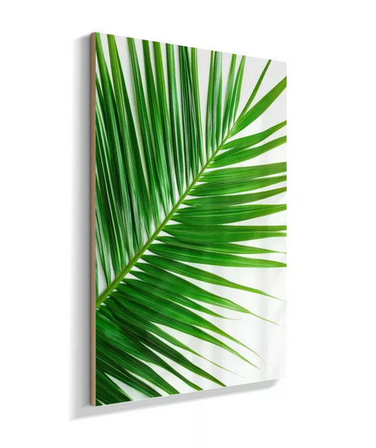 Quadro Palmeira Elegante - Folhas Finas & Sofisticadas