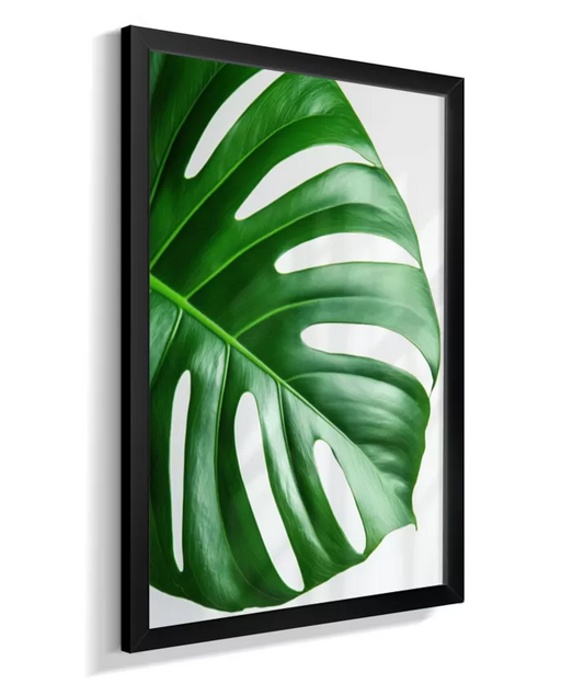 Quadro Costela de Adão - Folhas Decorativas & Elegantes