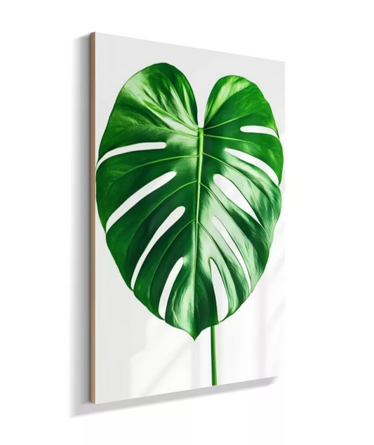 Quadro Monstera Variegada - Padrão Unico & Sofisticado