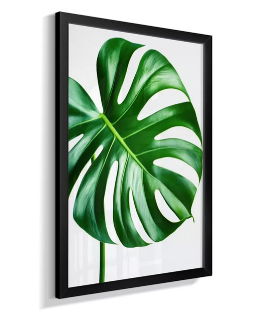 Quadro Monstera Deliciosa - Padrão & Elegancia Moderna